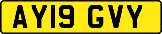 AY19GVY