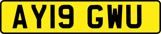 AY19GWU