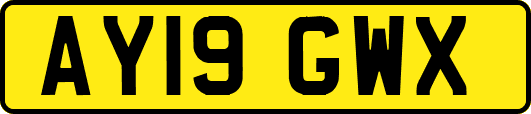 AY19GWX