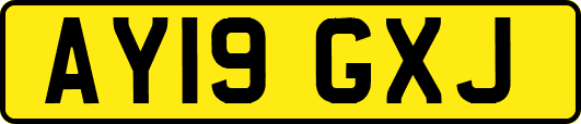 AY19GXJ