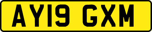 AY19GXM