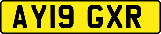 AY19GXR