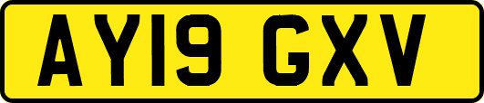 AY19GXV
