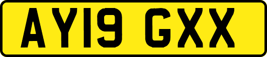AY19GXX