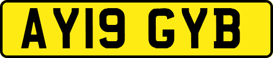 AY19GYB