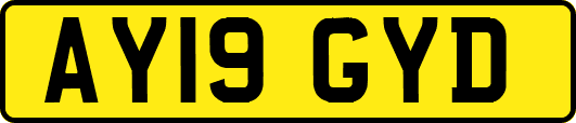 AY19GYD