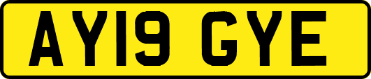 AY19GYE