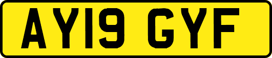 AY19GYF