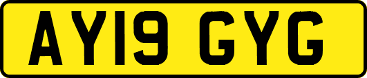 AY19GYG
