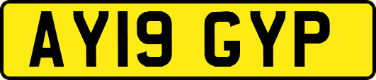 AY19GYP