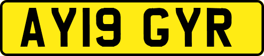 AY19GYR