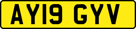 AY19GYV
