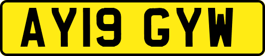 AY19GYW