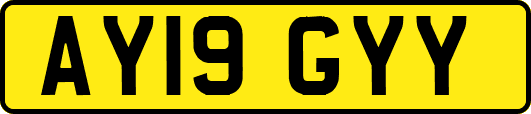 AY19GYY