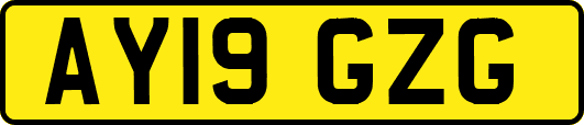AY19GZG