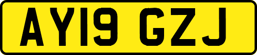 AY19GZJ