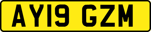 AY19GZM