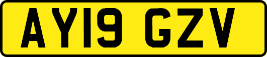 AY19GZV