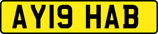 AY19HAB