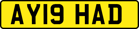 AY19HAD