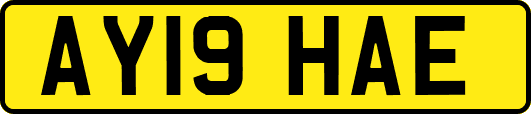AY19HAE