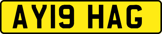 AY19HAG