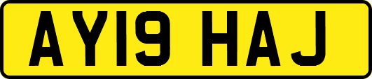 AY19HAJ