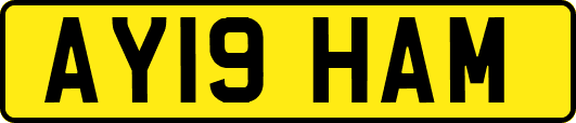 AY19HAM
