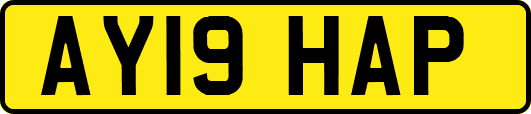 AY19HAP