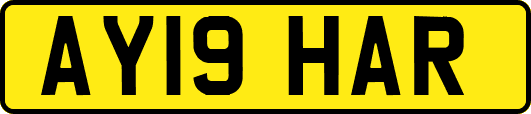 AY19HAR