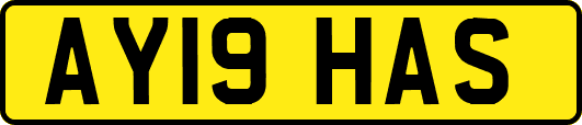 AY19HAS