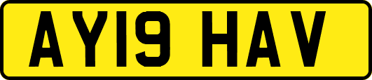 AY19HAV
