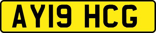 AY19HCG