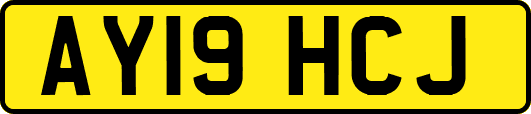 AY19HCJ