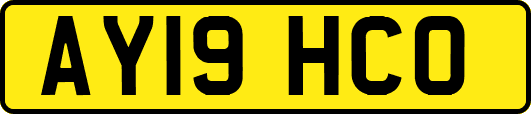 AY19HCO