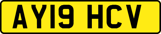 AY19HCV