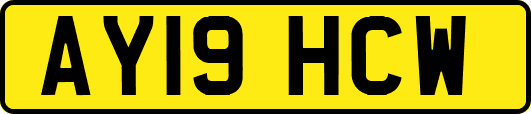 AY19HCW