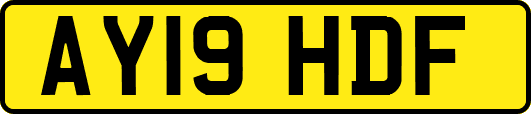 AY19HDF