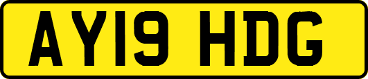 AY19HDG