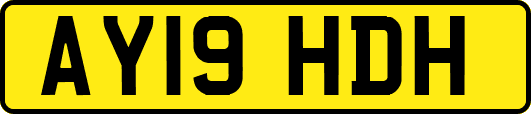 AY19HDH