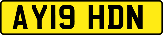 AY19HDN