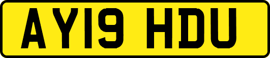 AY19HDU