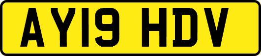 AY19HDV