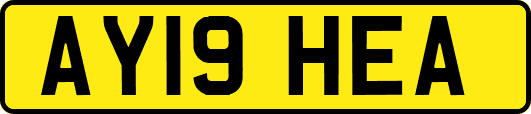 AY19HEA