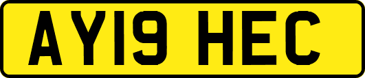 AY19HEC