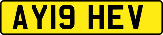 AY19HEV
