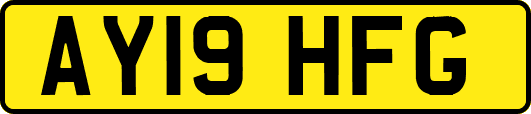 AY19HFG