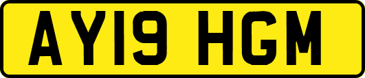 AY19HGM