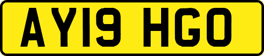AY19HGO
