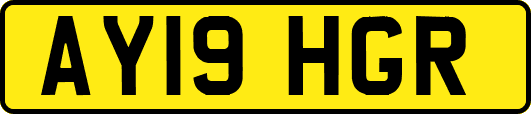 AY19HGR